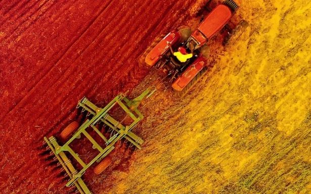 Africa’s agricultural revolution: From self-sufficiency to global food powerhouse