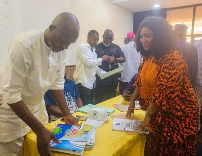 Martina Amarachi Ononiwu Submits APC Nomination Forms, Reaffirms Resolve to Win Ikwuano/Umuahia Federal Seat