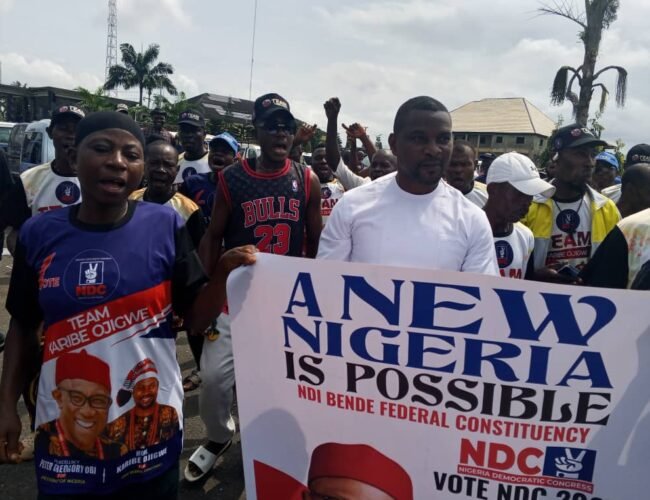 NDC Flag Presentation: Karibe Ojigwe Reiterates Determination To Win Bende Seat